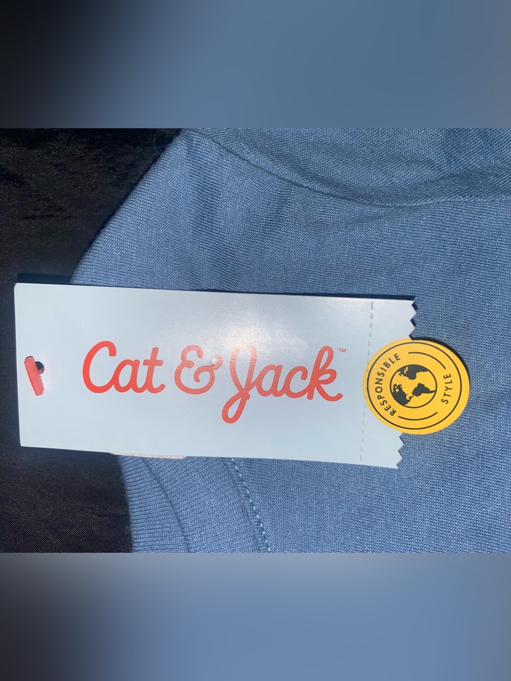 Cat & Jack Light Blue "Best Brother Club" Short Sleeve Tee - Picture 6 of 7